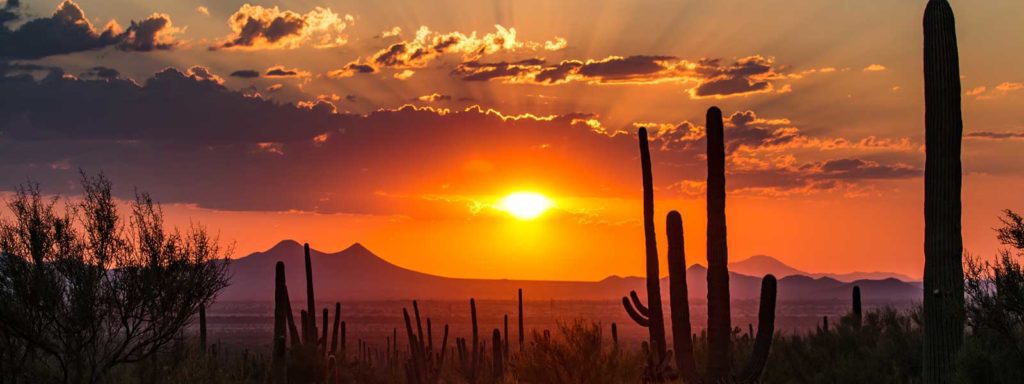 Arizona desert bg Warnock MacKinlay Law