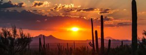 Arizona desert at sunset
